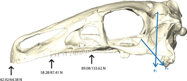 Fig. 6