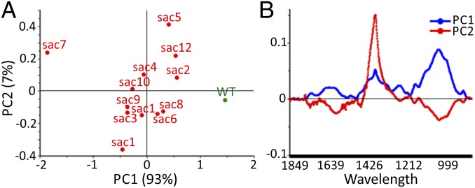 Fig. 2.