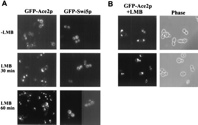 FIG. 7