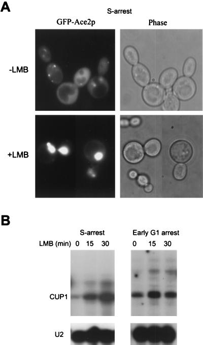 FIG. 8