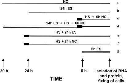 Fig 2.