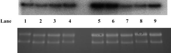 Fig 3.