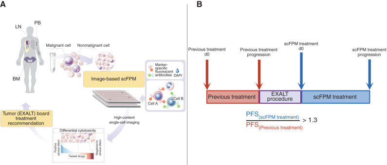 Figure 1. EXALT procedure and primary outcome measure. A, Viable cells from lymph node (LN), BM, or PB of patients with late-stage hematologic cancer were subjected to image-based scFPM. Target cells are identified by staining with fluorescent antibodies. Reports, automatically generated by the analysis pipeline, are discussed in a dedicated tumor board with patients treated accordingly. B, Our primary outcome measure was PFS ratio, defined as PFS(scFPM treatment)/PFS(previous treatment). A ratio of 1.3 is considered individually beneficial. DAPI, 4′,6-diamidino-2-phenylindole.