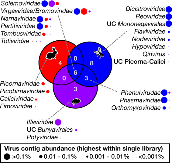 FIG 8