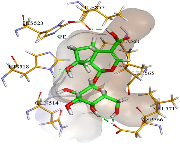 FIGURE 6