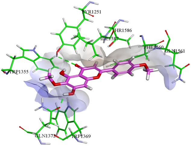 FIGURE 5