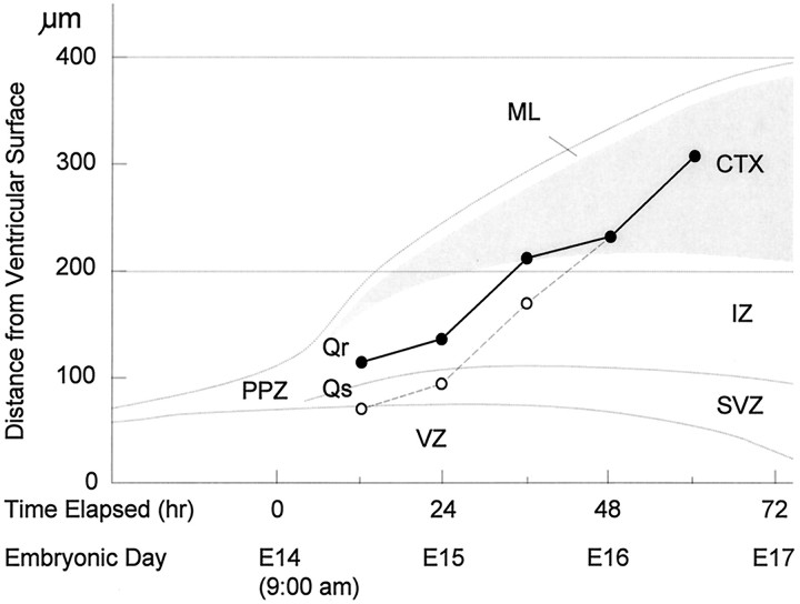 Fig. 11.