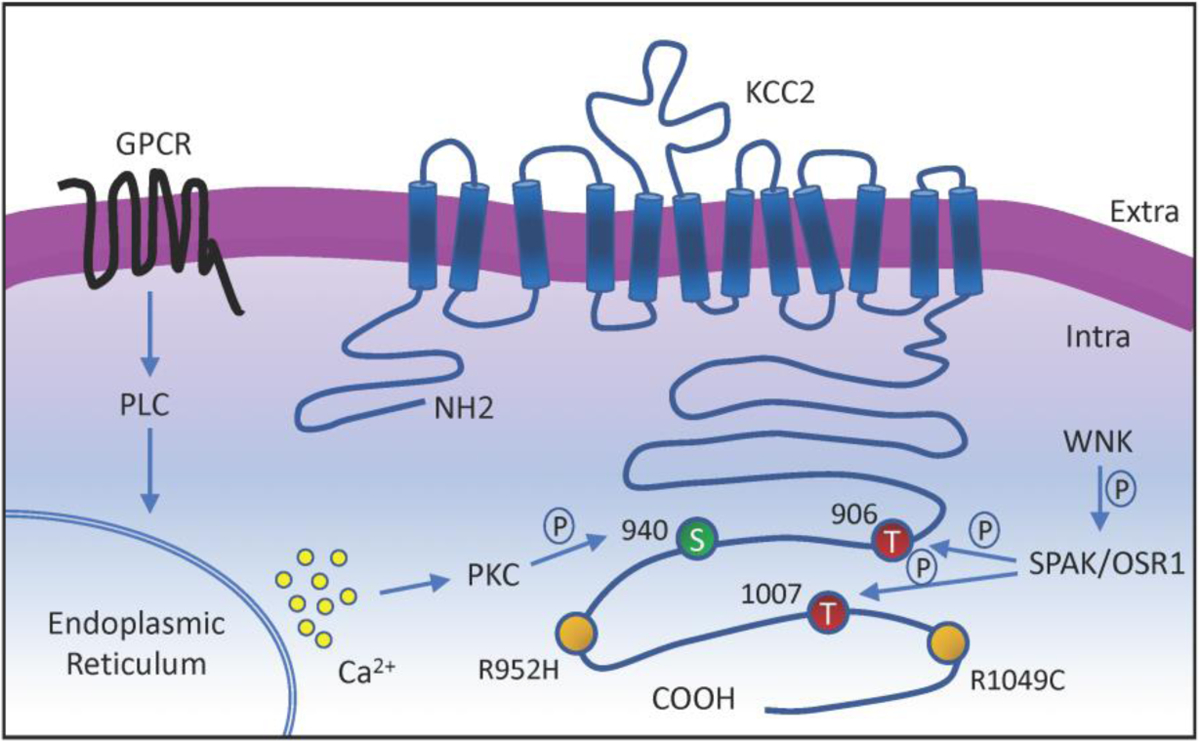 Figure 2: