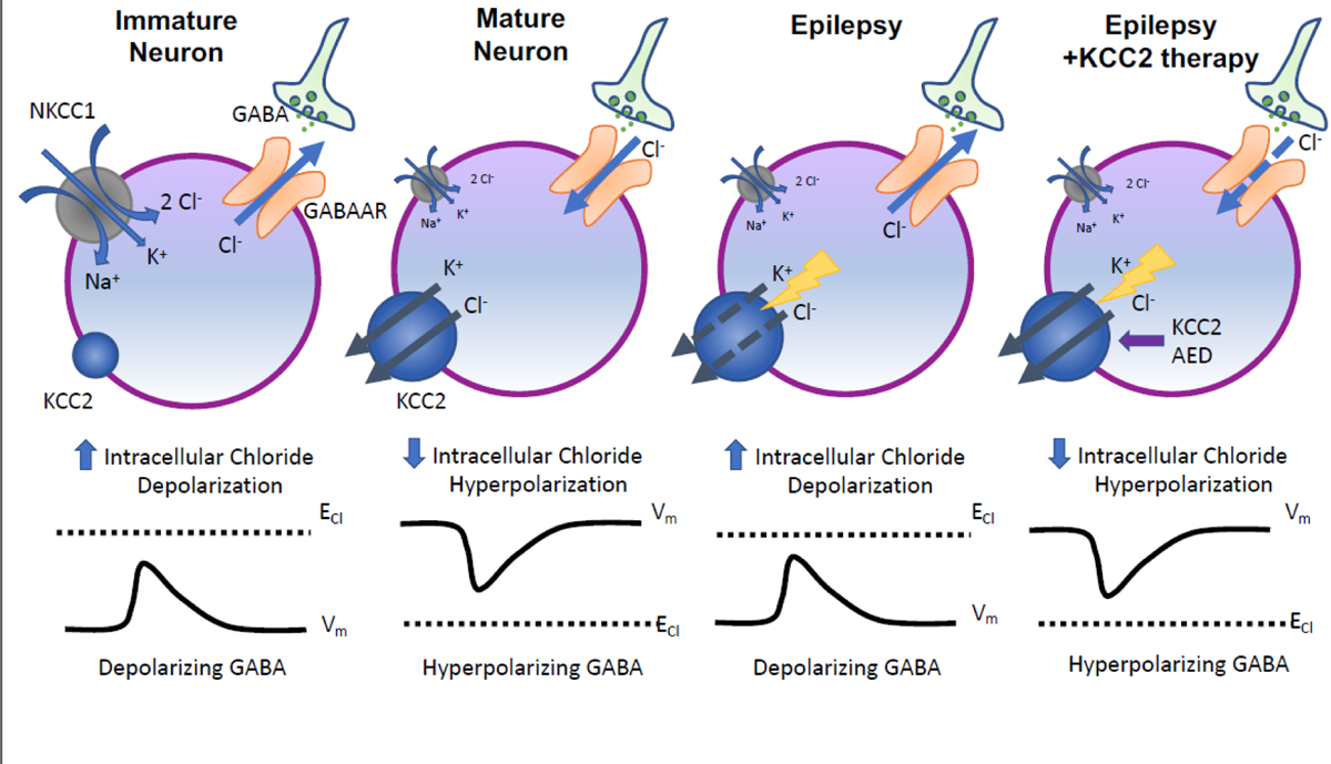 Figure 1: