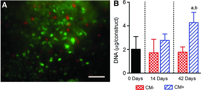 FIG. 4.