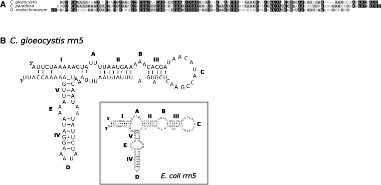 Fig. 2.—