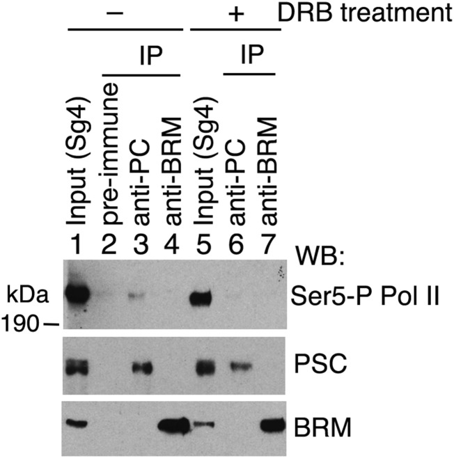 Fig. S6.