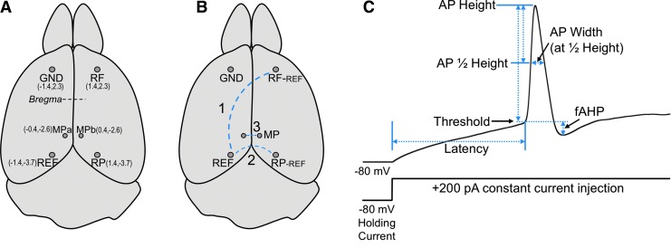 FIG. 1.