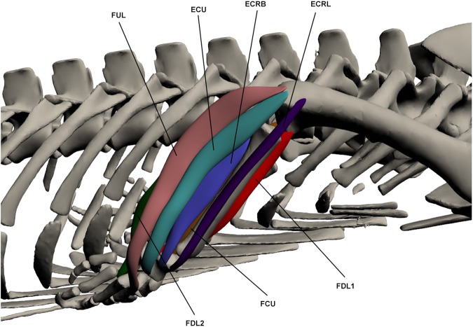 Fig 10