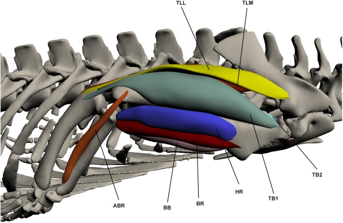 Fig 9