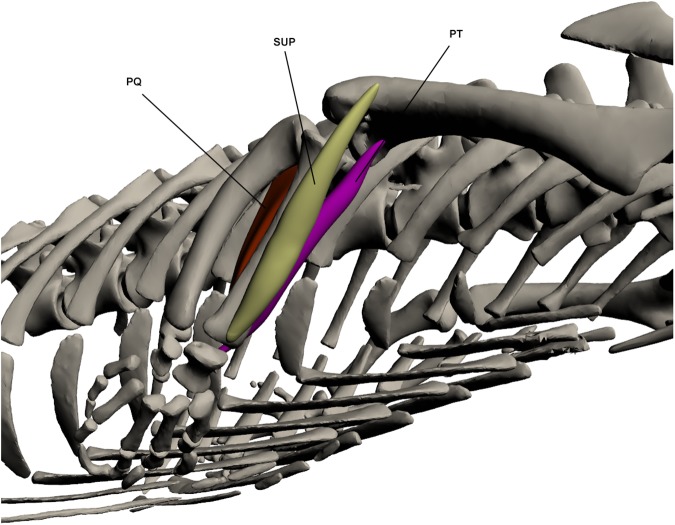 Fig 11