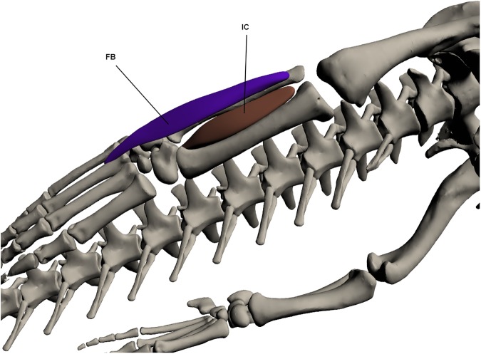 Fig 20