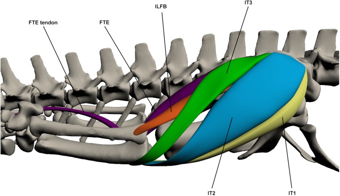 Fig 13