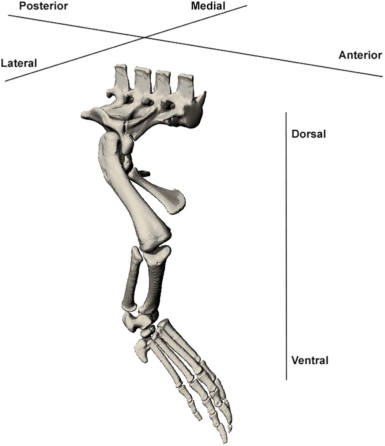 Fig 2