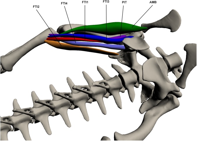 Fig 14