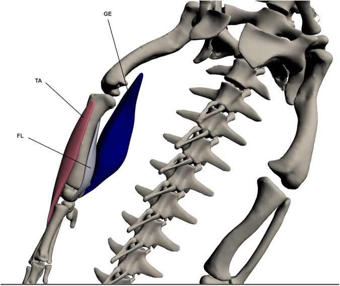 Fig 17