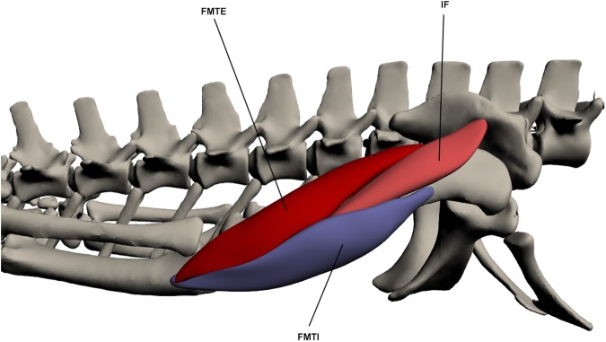 Fig 15