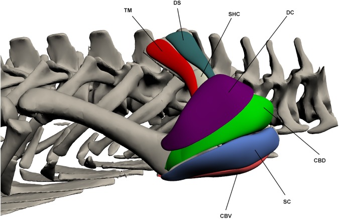 Fig 8