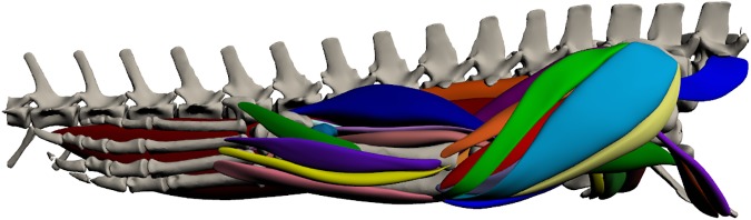 Fig 12