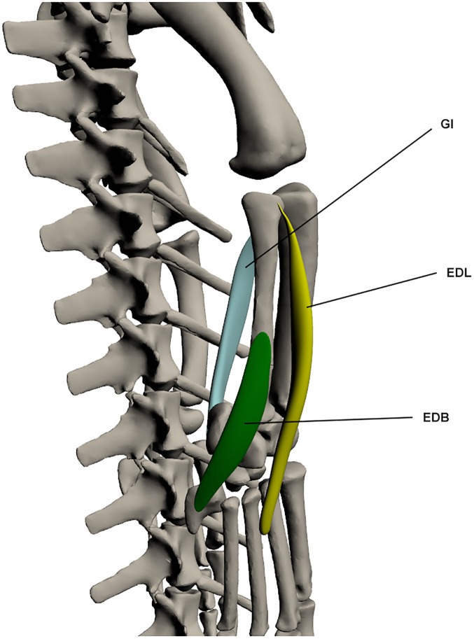 Fig 18