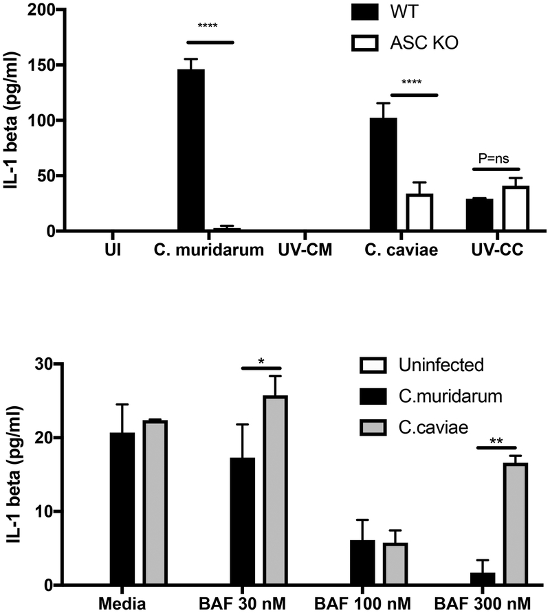 Fig 6: