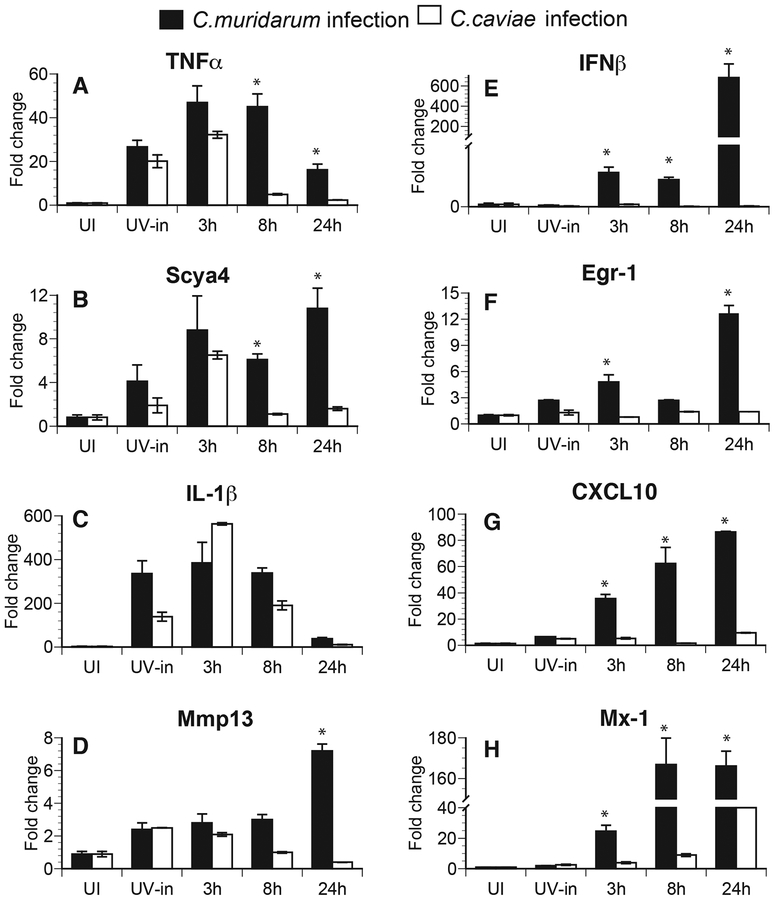 Fig 4: