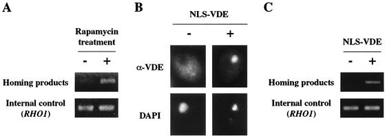 FIG. 8.