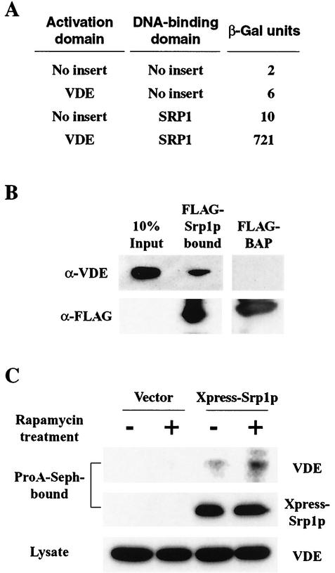 FIG. 7.