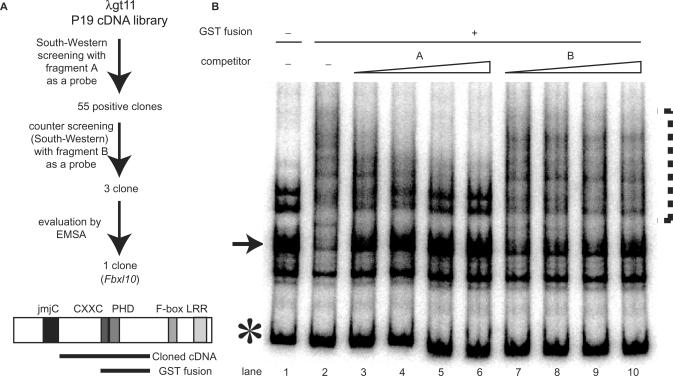 Figure 3.