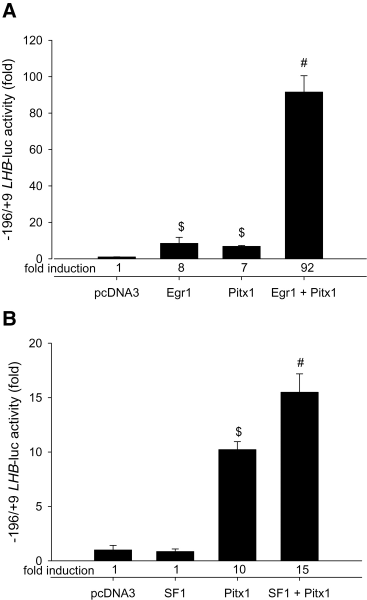 Figure 6