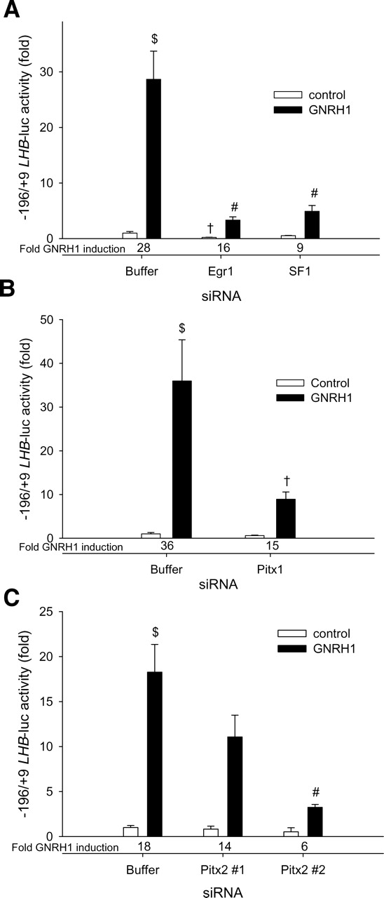 Figure 5