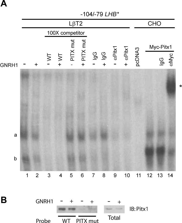 Figure 4