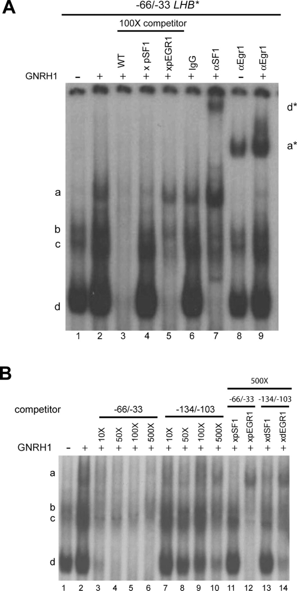 Figure 3