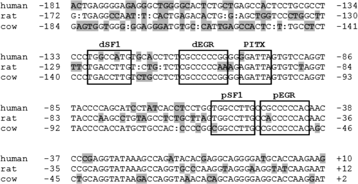 Figure 1