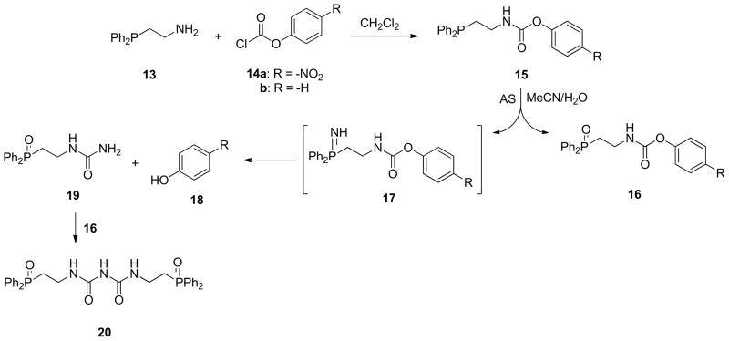 Scheme 6