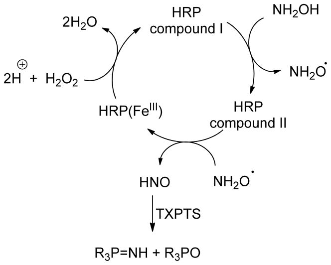 Scheme 2