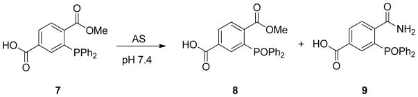 Scheme 4