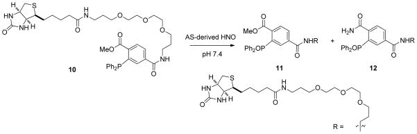 Scheme 5