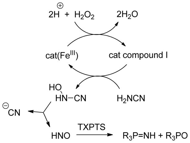 Scheme 3