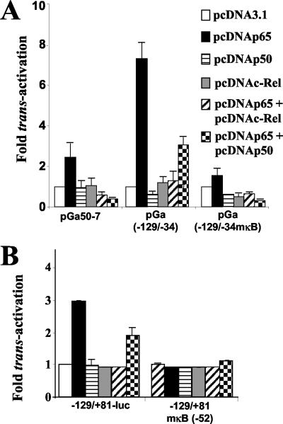 FIG. 9.