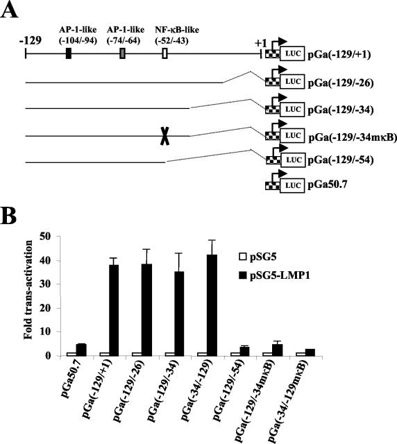 FIG. 7.