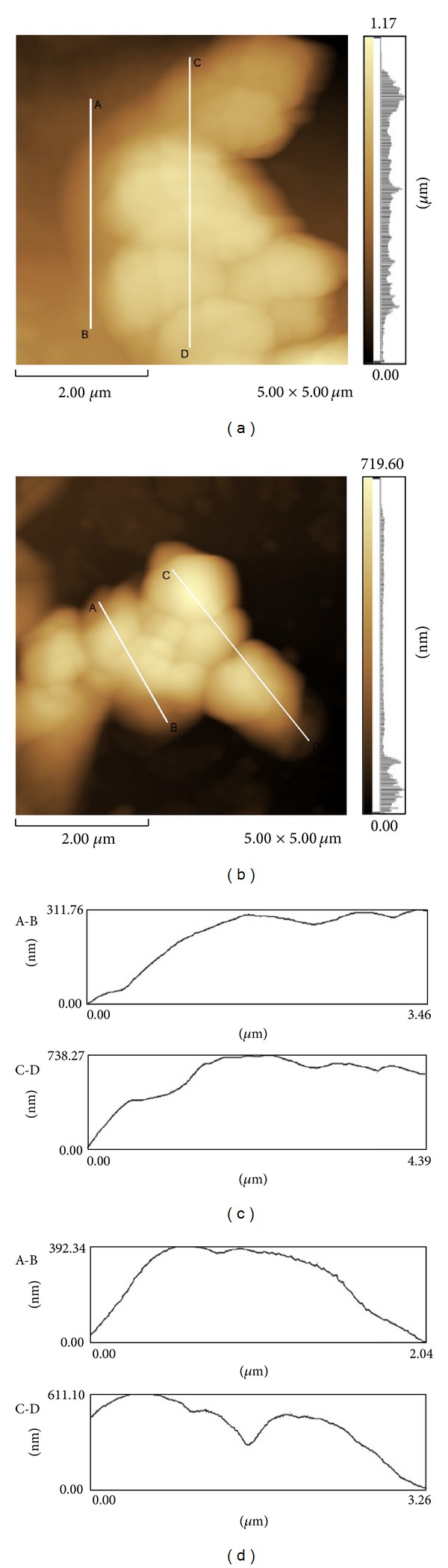 Figure 2