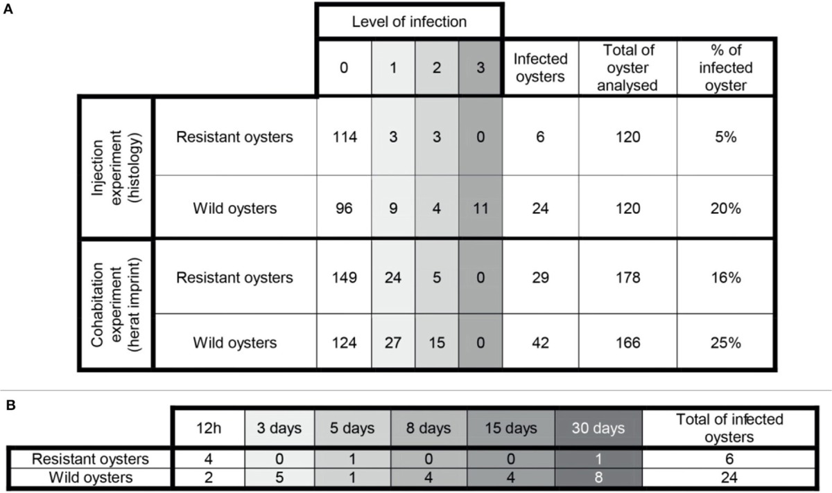 graphic file with name fcimb-07-00433-i0001.jpg