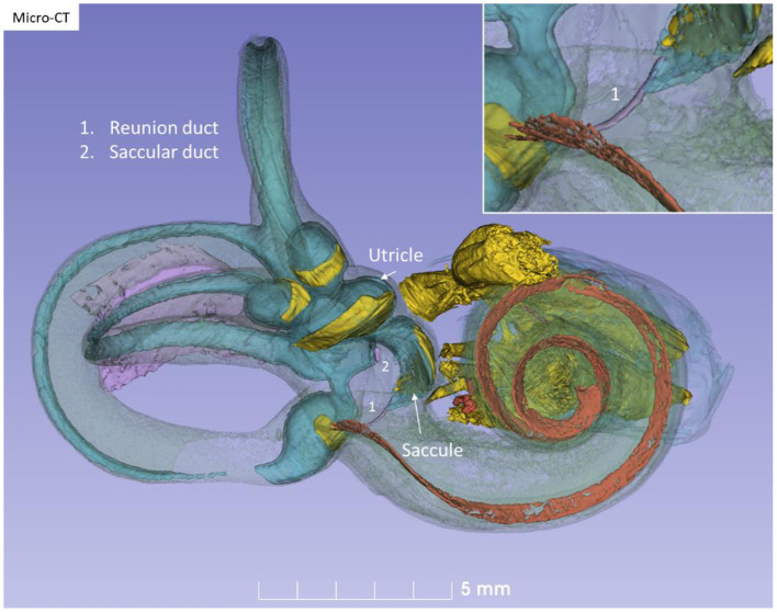 Figure 10