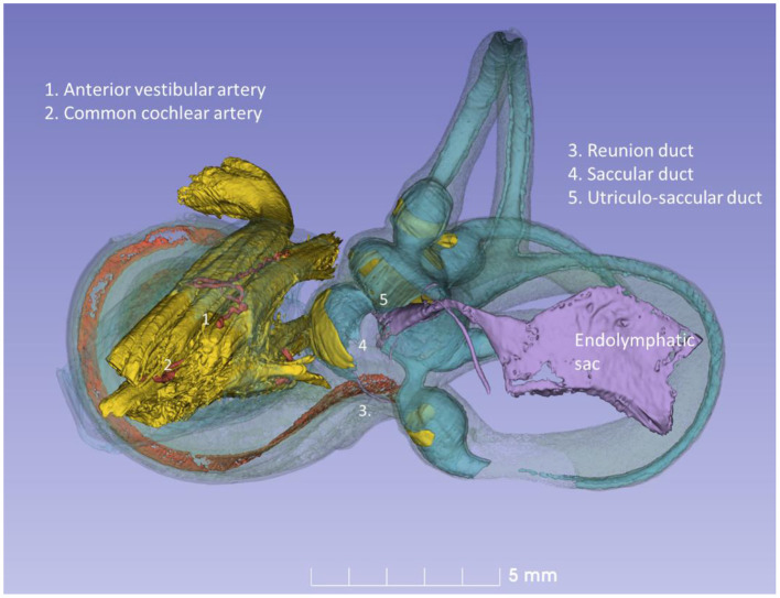 Figure 11